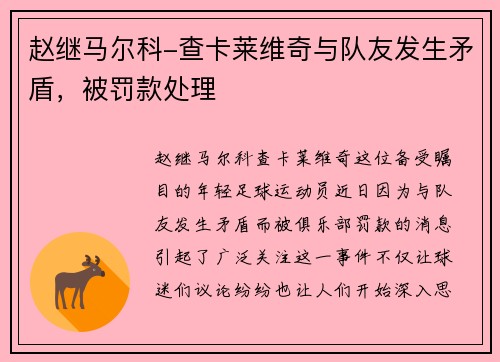 赵继马尔科-查卡莱维奇与队友发生矛盾，被罚款处理
